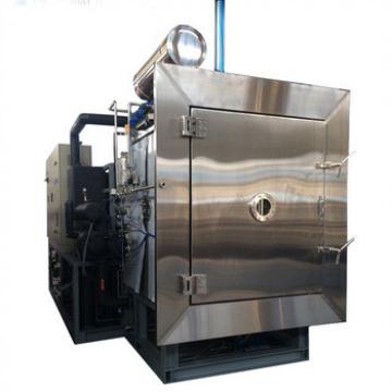 Full Automation Freeze Vacuum Industrial Fish Drying Machine