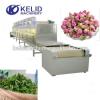 Industrial microwave black tea dehydrator sterilization dryer machine