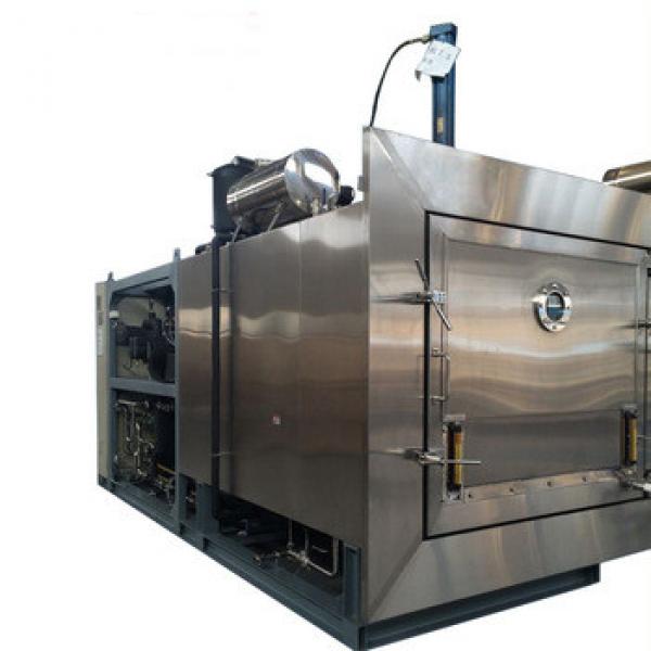 Custom Design Full Automation Vacuum Freeze Meat Drying Machine #5 image