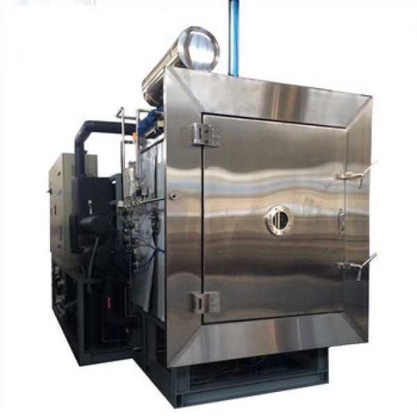 Full Automation Freeze Vacuum Industrial Fish Drying Machine #5 image