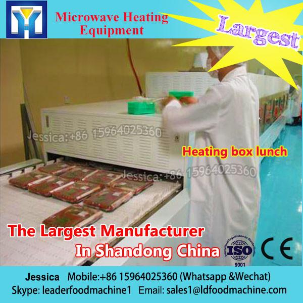 Belt type microwave fast food sterilization machine/sterilizing equipment #1 image