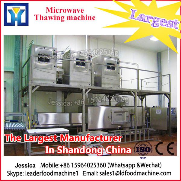 Cheap Vacuum Electric Industrial Fresh Vegetable Freeze Dryer #3 image