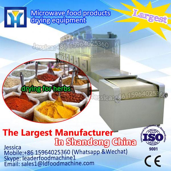 Continuous Working 24h Microwave Belt Drying Machine hot sale in Poland #1 image
