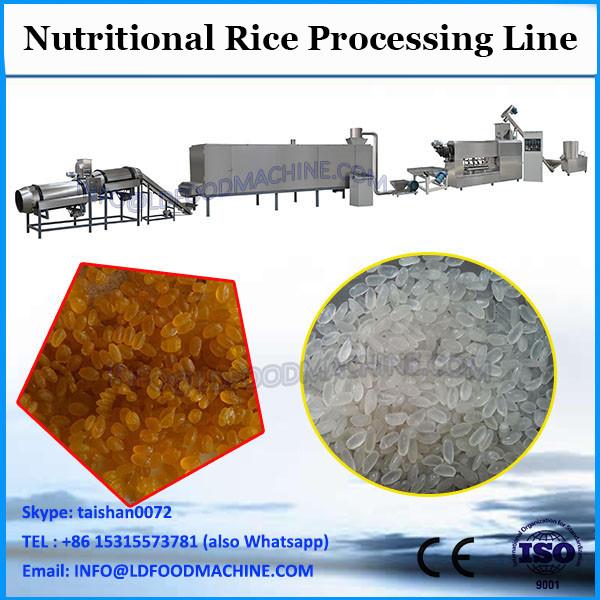 100 - 200kg/hr Artificial Rice Processing Machine Line #2 image